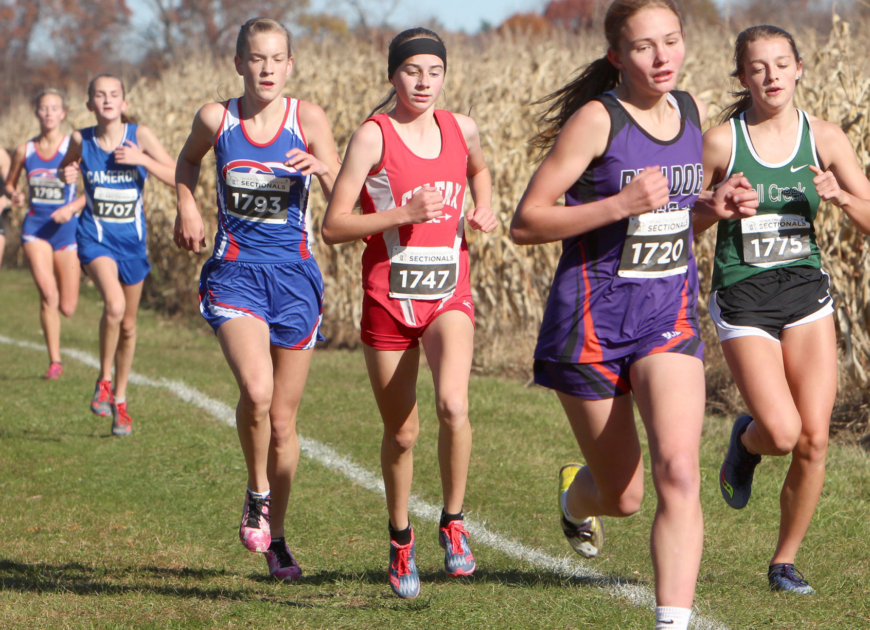 Division 3 Cross Country Sectionals in Boyceville 10-26-19